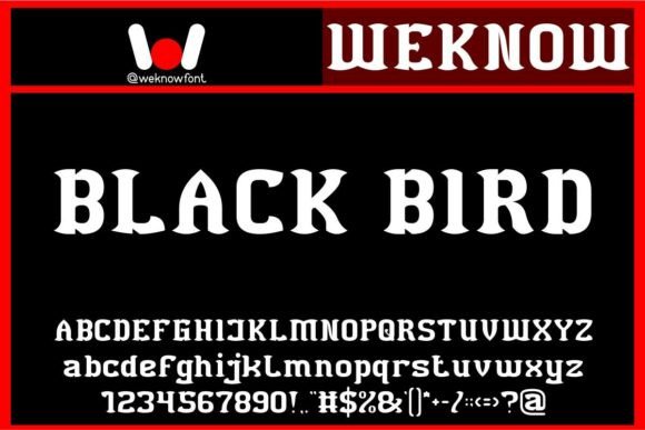 Black Bird: A Modern Gothic Typeface for Bold Brands
